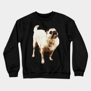 Beggar Crewneck Sweatshirt